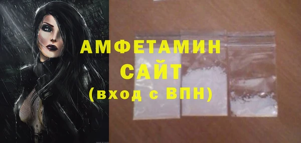 индика Инта